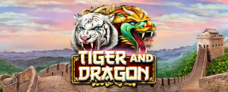 dragon tiger live game